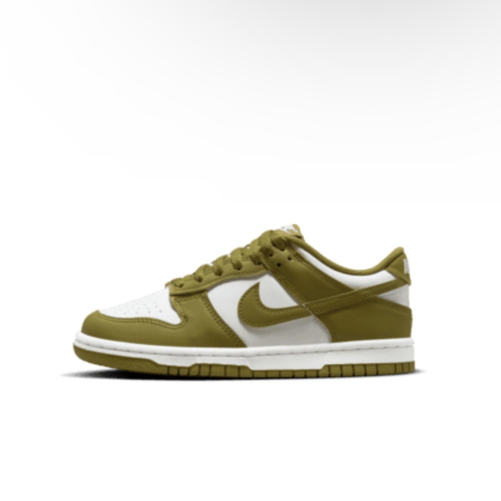 Nike Dunk Low Big Kids' Shoes